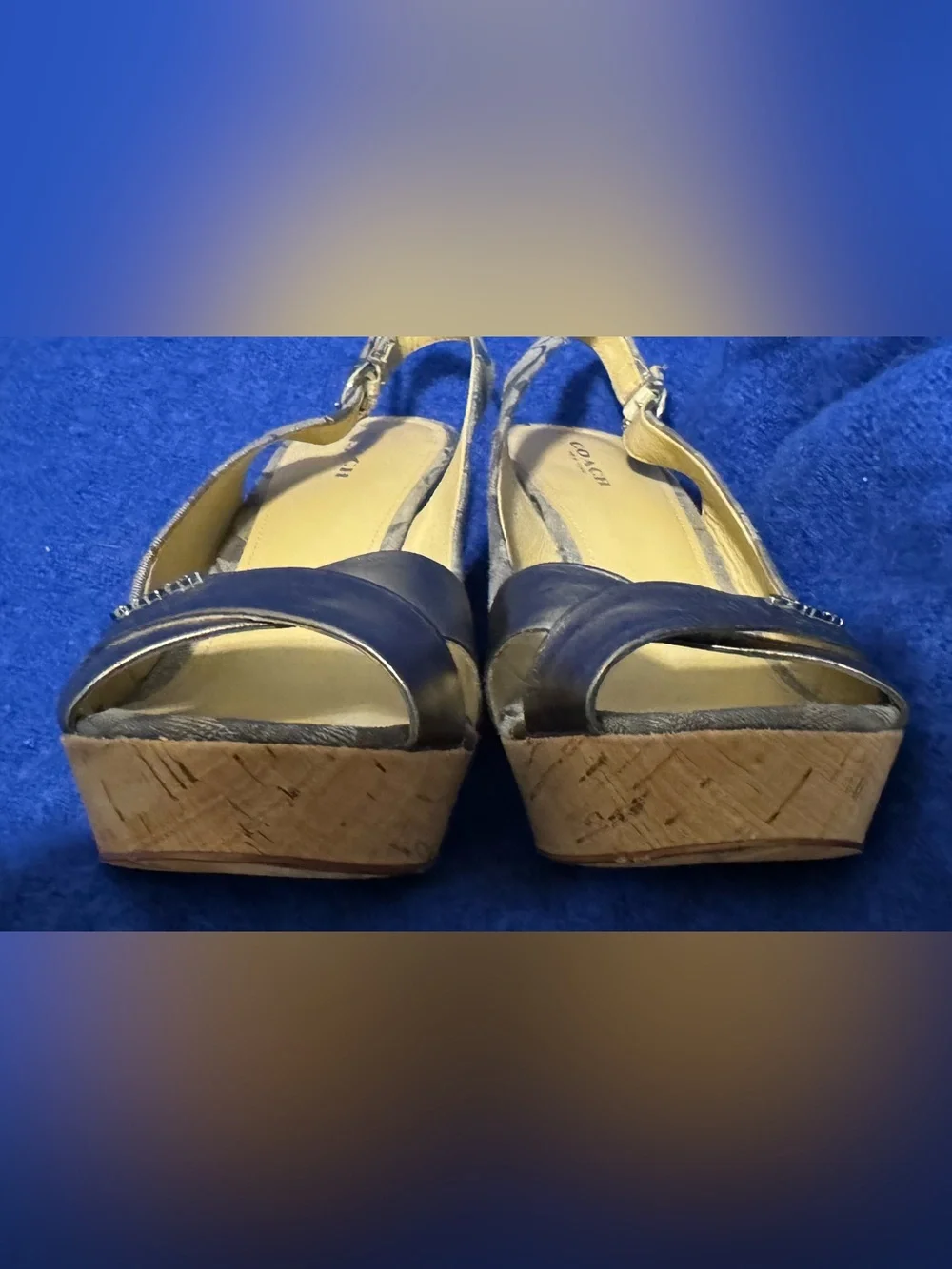 COACH FERRY WEDGES: Metallic Gray Slingback Sandals - Women